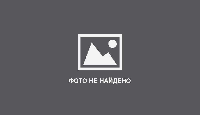 Безопасно ограничил деревья по высоте: обзор штангового кустореза Greenworks G24PH51 на 24V